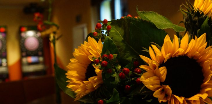 Sonnenblumen